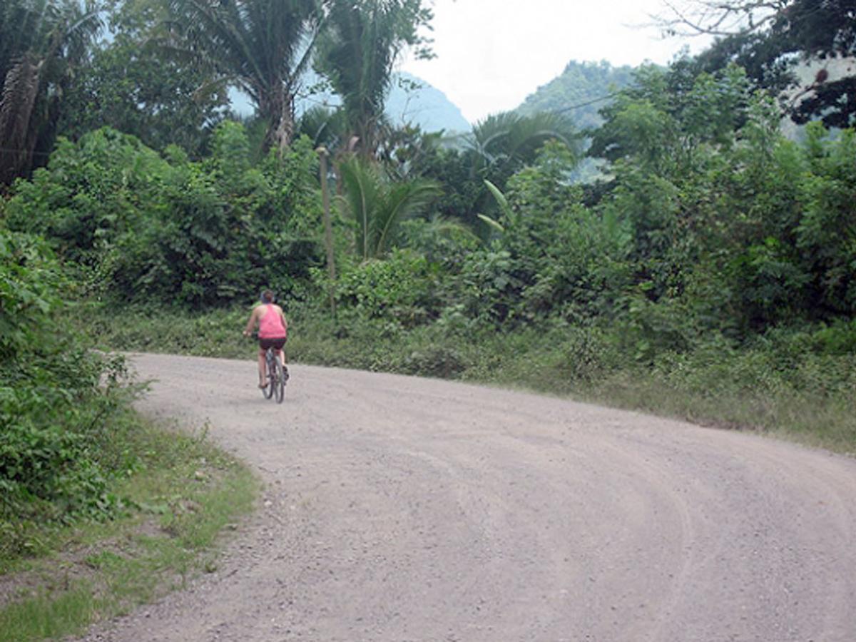 Omega Tours Eco-Jungle Lodge La Ceiba Kültér fotó