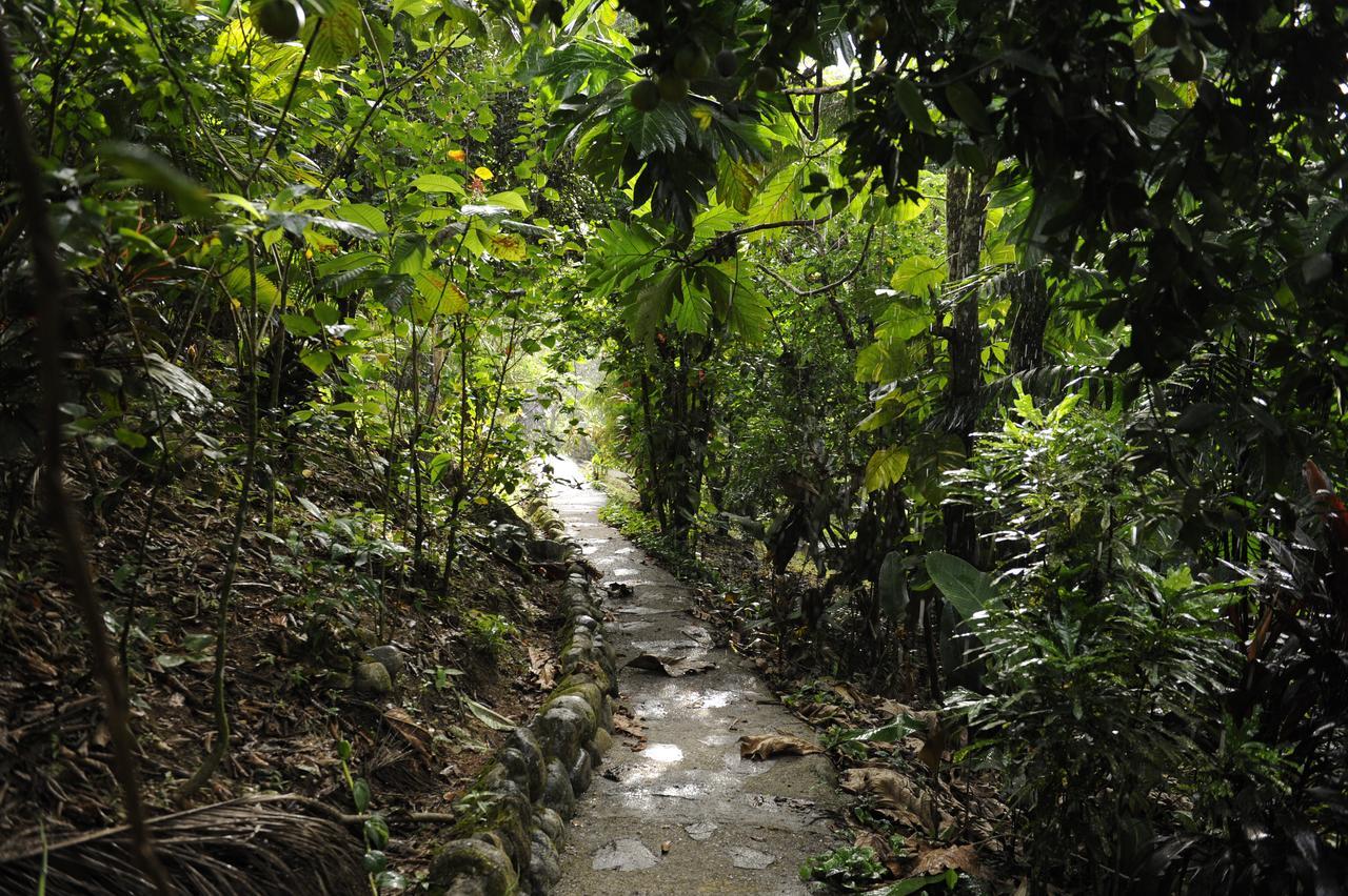 Omega Tours Eco-Jungle Lodge La Ceiba Kültér fotó