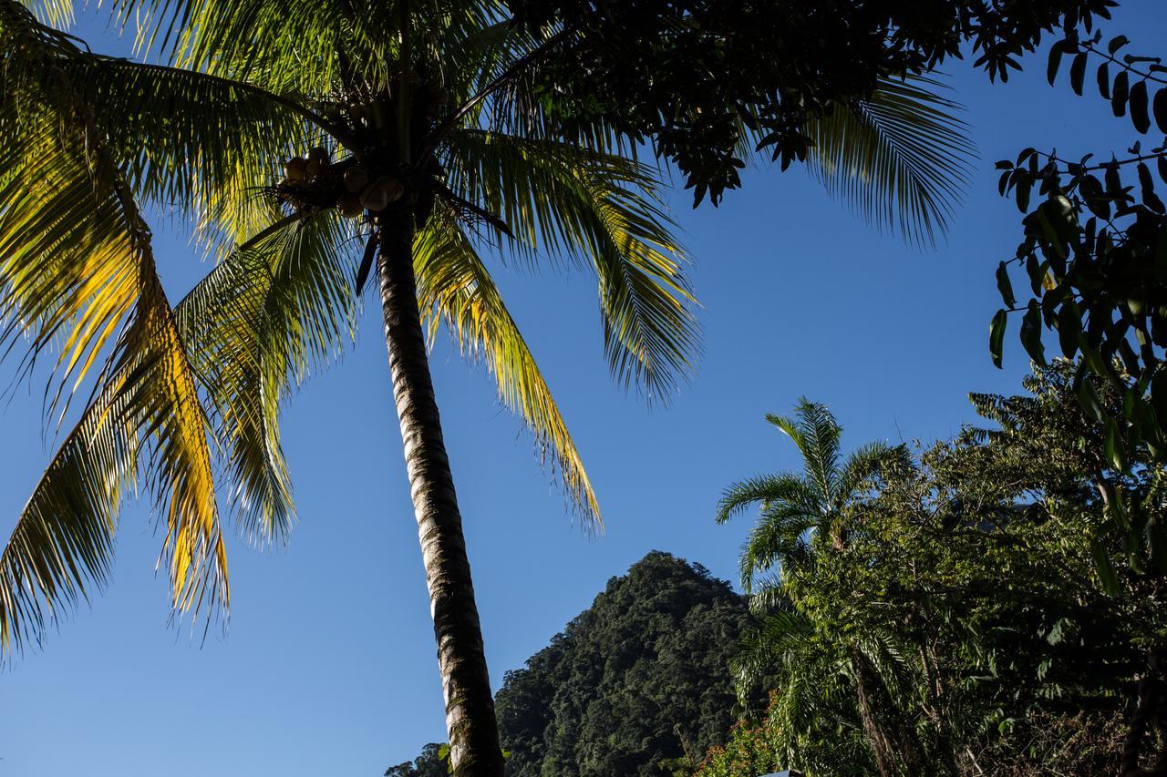 Omega Tours Eco-Jungle Lodge La Ceiba Kültér fotó