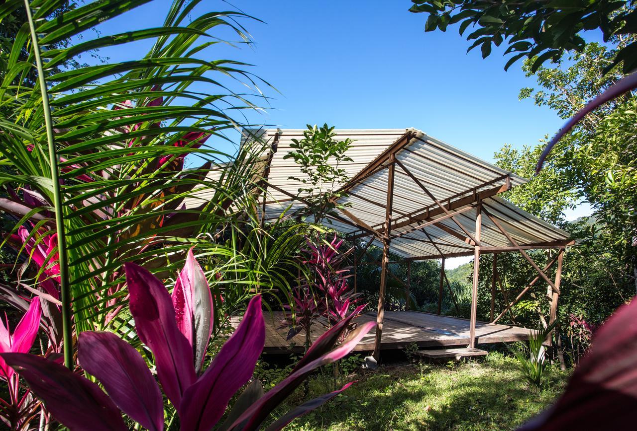 Omega Tours Eco-Jungle Lodge La Ceiba Kültér fotó