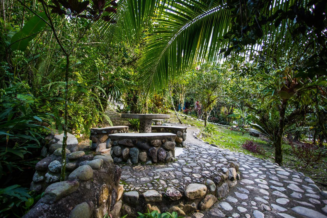 Omega Tours Eco-Jungle Lodge La Ceiba Kültér fotó