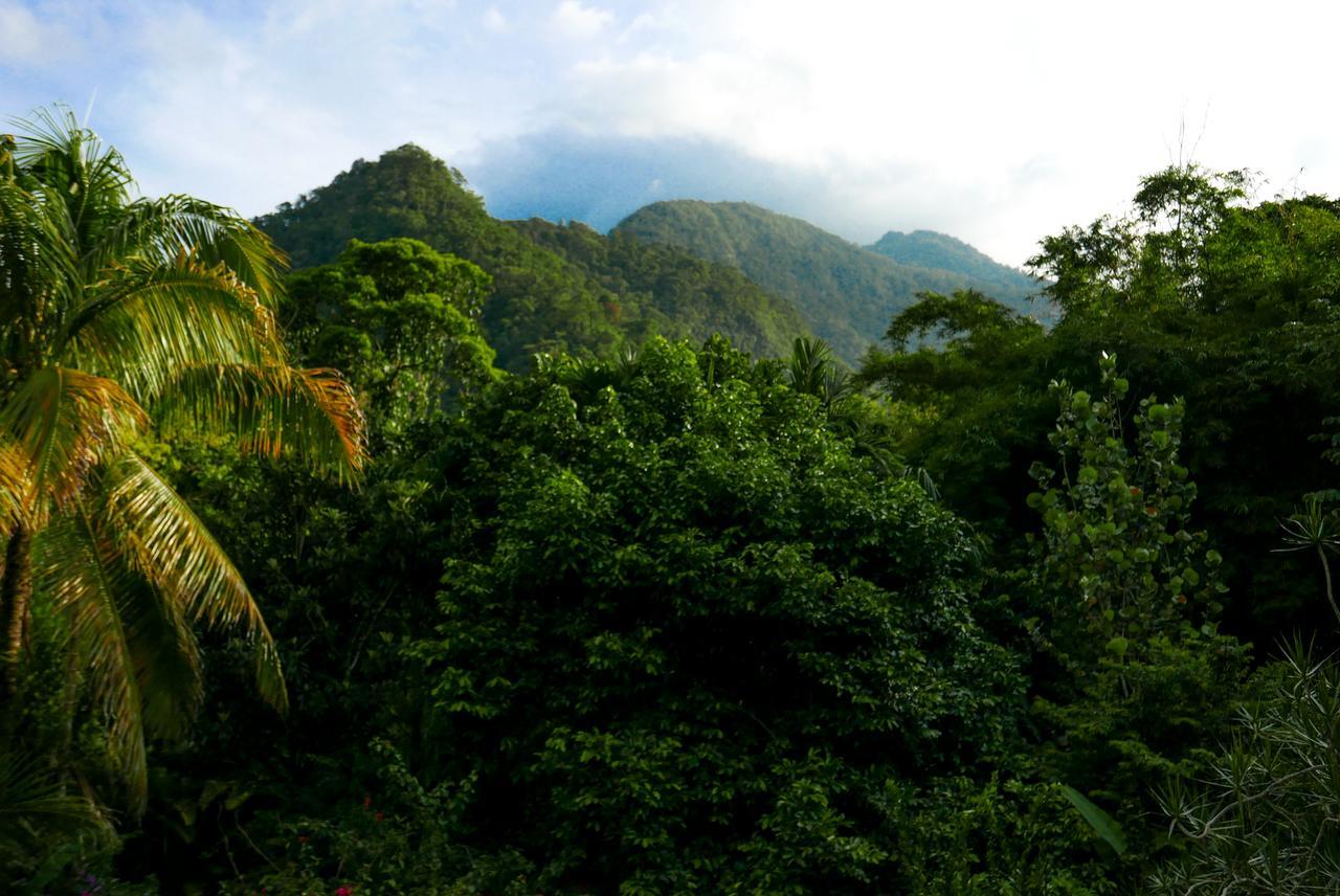 Omega Tours Eco-Jungle Lodge La Ceiba Kültér fotó