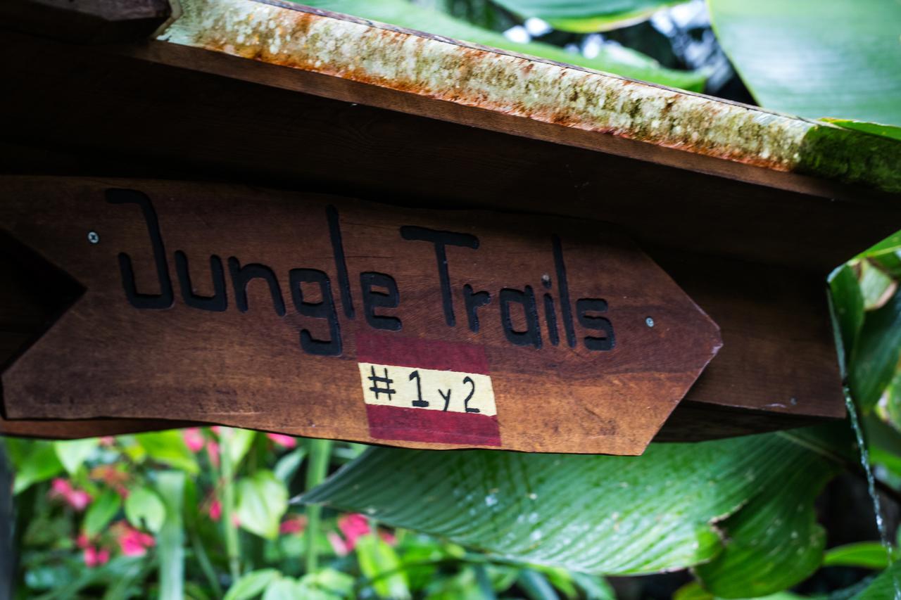 Omega Tours Eco-Jungle Lodge La Ceiba Kültér fotó